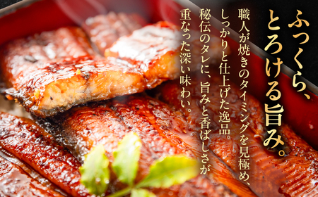宮崎県産 国産うなぎ蒲焼 1尾 うなぎ