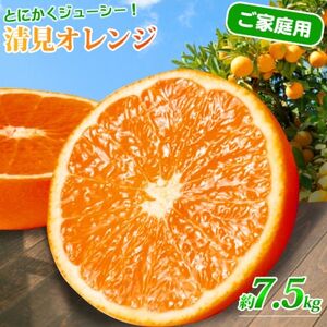 【2026年4月より発送】【ご家庭用訳アリ】紀州有田産清見オレンジ　7.5kg【日高町】【配送不可地域：離島】【1216974】