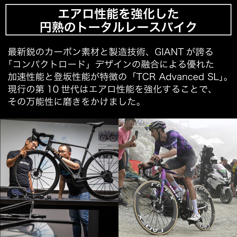 【フレームのみ】GIANT TCR ADVANCED SL FRAMESET（カラー：Polar Tide）｜  ジャイアント ロードバイク 自転車 レース カーボン 東レ
