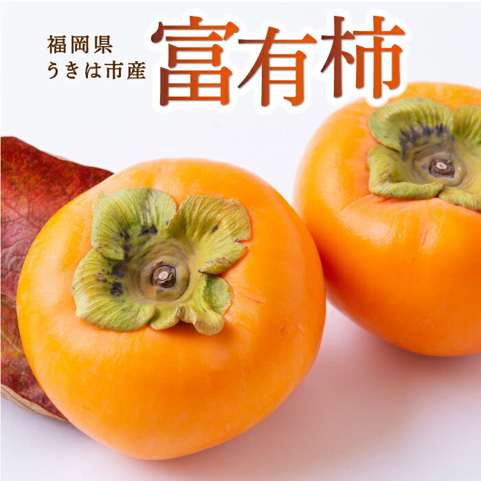 【ふるさと納税】〈選べる容量〉西見柿農園 富有柿 6玉から8玉・9玉から11玉・12玉から15玉 2025年11月下旬から12月上旬 出荷予定 柿 かき カキ フルーツ 果実 果物 常温 送料無料 福岡県 うきは市