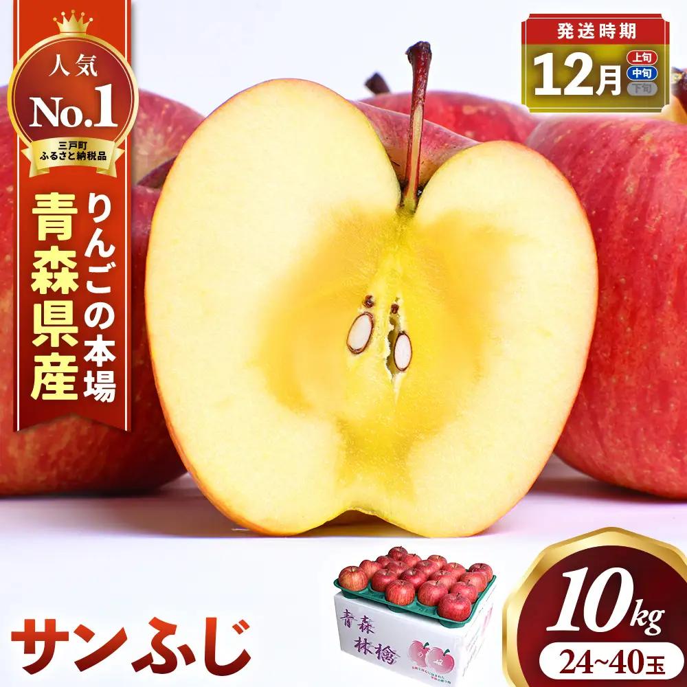 大容量 青森県産りんご 12月上旬～ サンふじ 10kg りんご