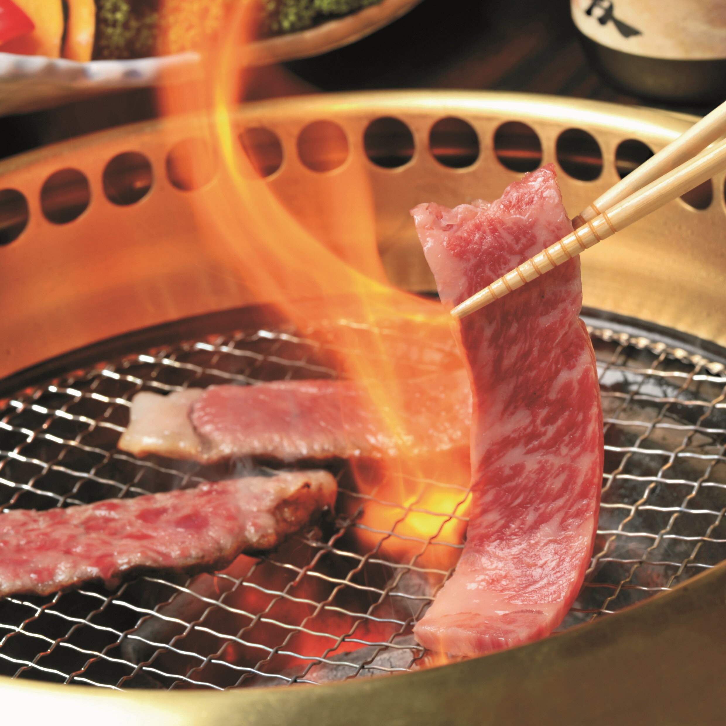 【ふるさと納税】飛騨牛 ロースまたは肩ロース 焼肉・BBQ用600g 精肉 牛肉 和牛 黒毛和牛 飛騨牛 焼き肉 やきにく バーベキュー 20000円