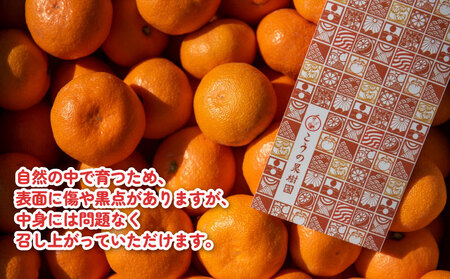 小玉みかん 南柑20号 みかん 5kg 2S~S サイズ こうの果樹園 温州みかん 温州 愛媛みかん 愛媛蜜柑 愛媛ミカン うんしゅう みかん ミカン 蜜柑 mikan 果物 フルーツ 柑橘 甘い 甘