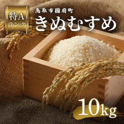 ふるさと納税 八頭町 鳥取県産 きぬむすめ 令和7年産 精米済 10kg(5kg×2袋)