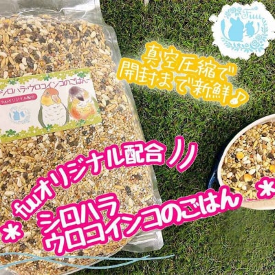 fuu シロハラインコ・ウロコインコのごはん(400g)　[145S56]