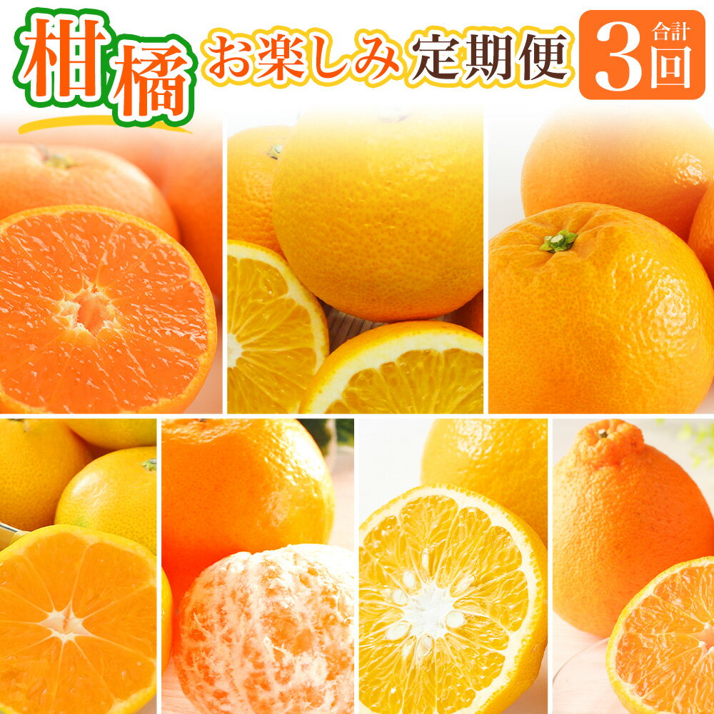 【ふるさと納税】【全3回定期便】春冬限定 柑橘お楽しみ定期便 みかん ポンカン 不知火等 早生みかん 中生みかん 甘夏 八朔 伊予柑 ミカン 蜜柑 果物 くだもの 果実 フルーツ 青果 旬 お取り寄せ 国産 長崎 九州 定期便 送料無料【2025年11月上旬～2026年3月下旬に発送予定】