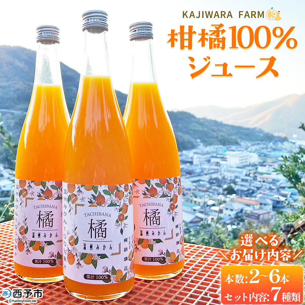 【ふるさと納税】＜柑橘100％ジュース＞ 選べる 内容量 セット 温州みかん 愛果28号 紅まどんな マドンナ せとか 高級柑橘 ストレートジュース 果汁100％ ミカン 蜜柑 果物 柑橘 飲み物 ソフトドリンク かじわらFARM 愛媛県 西予市【常温】『1か月以内に順次出荷予定』
