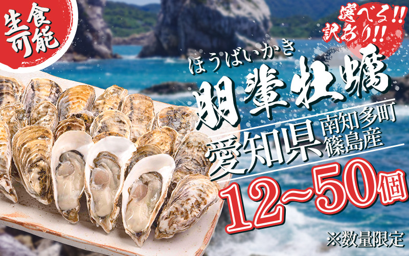 
選べる 訳あり 牡蠣 かき 生食用 冷蔵 12~50個 朋輩牡蠣 愛知 南知多
