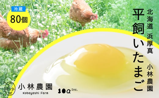 【冷蔵配送】こだわりの無投薬･平飼い有精卵 80個《厚真町》【テンアール株式会社】 たまご 卵 鶏卵 玉子 生卵 平飼い 北海道 [AXAN075]