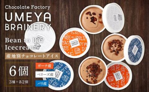 Bean to Bar Icecream (産地別チョコレートアイス ６個入り)【ＵＭＥＹＡＢＲＡＩＮＥＲＹ】_HA0583