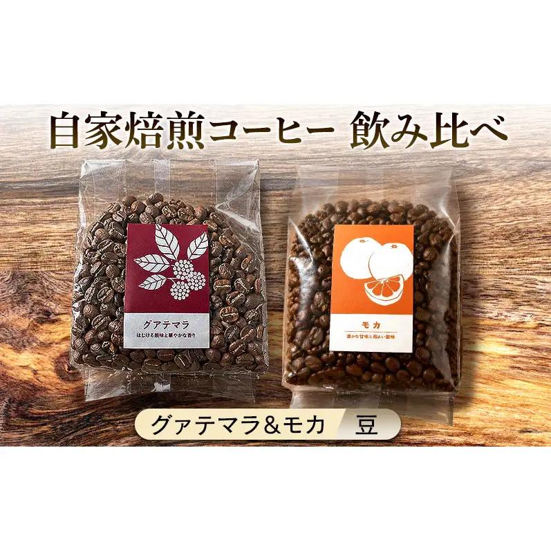飲み比べセット 自家焙煎コーヒー グァテマラ モカ 飲み比べセット【グァテマラ221g モカ285g】
