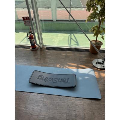 ふるさと納税 川崎市 ゴルフ上達&転倒予防に「TenSwingボードミニ」:【増田哲仁プロ監修】 |  | 02