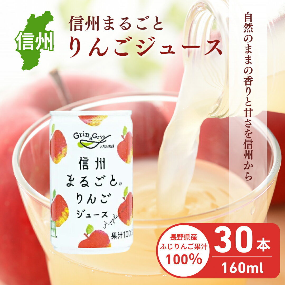 【ふるさと納税】りんごジュース 長野 信州まるごと りんご ジュース 160g×30本 リンゴジュース 100% ストレート 飲料 果汁飲料 お土産 お取り寄せ リンゴ 林檎 長野県 長野市　 長野県長野市