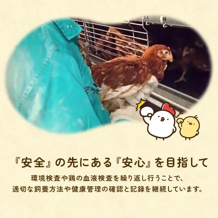 【定期便3回】九十九里ファームこだわりたまご贈答用 90個 ～あおい海・みどりの里～《白玉》 たまご 卵 玉子 タマゴ 白玉 卵かけご飯 新鮮 旨み 甘み 贈答用 贈答 ギフト 贈り物 千葉県 匝瑳市