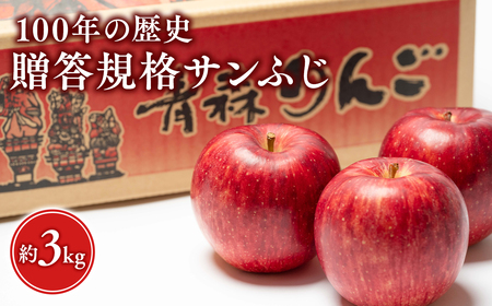 12月発送 100年の歴史 贈答規格サンふじ 約3kg【田中農園・青森県平川市産・青森りんご】