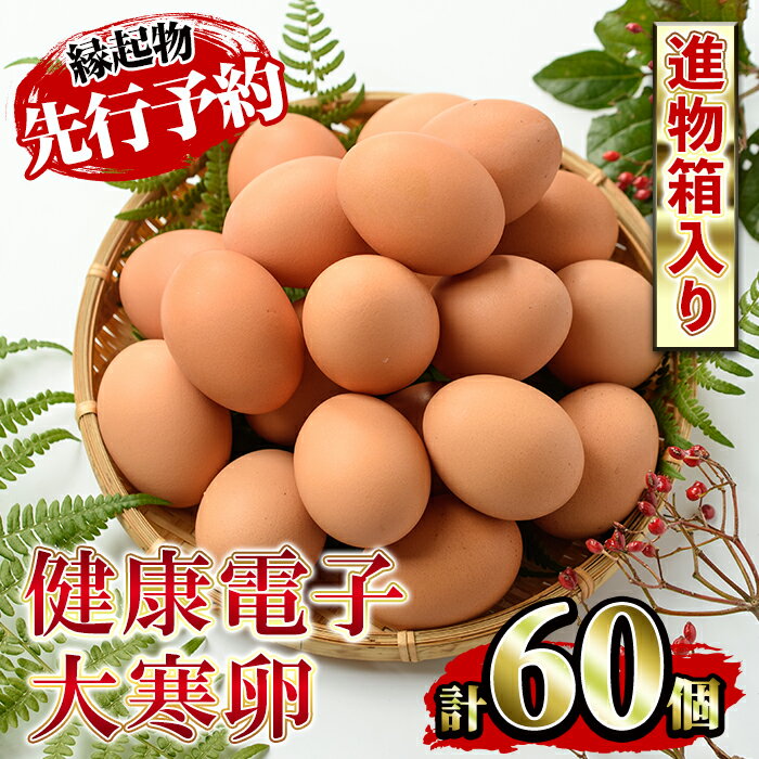 【ふるさと納税】《先行予約受付中！2026年1月下旬頃発送予定》《数量・期間限定》鹿児島県産！健康電子大寒卵(計60個・10個入り×6P) 国産 九州産 たまご タマゴ 玉子 生たまご 若鶏 若鳥 新鮮 常温 小分け パック おかず 体質改善 縁起物 割れ保障 安心 安全【峯元養鶏】