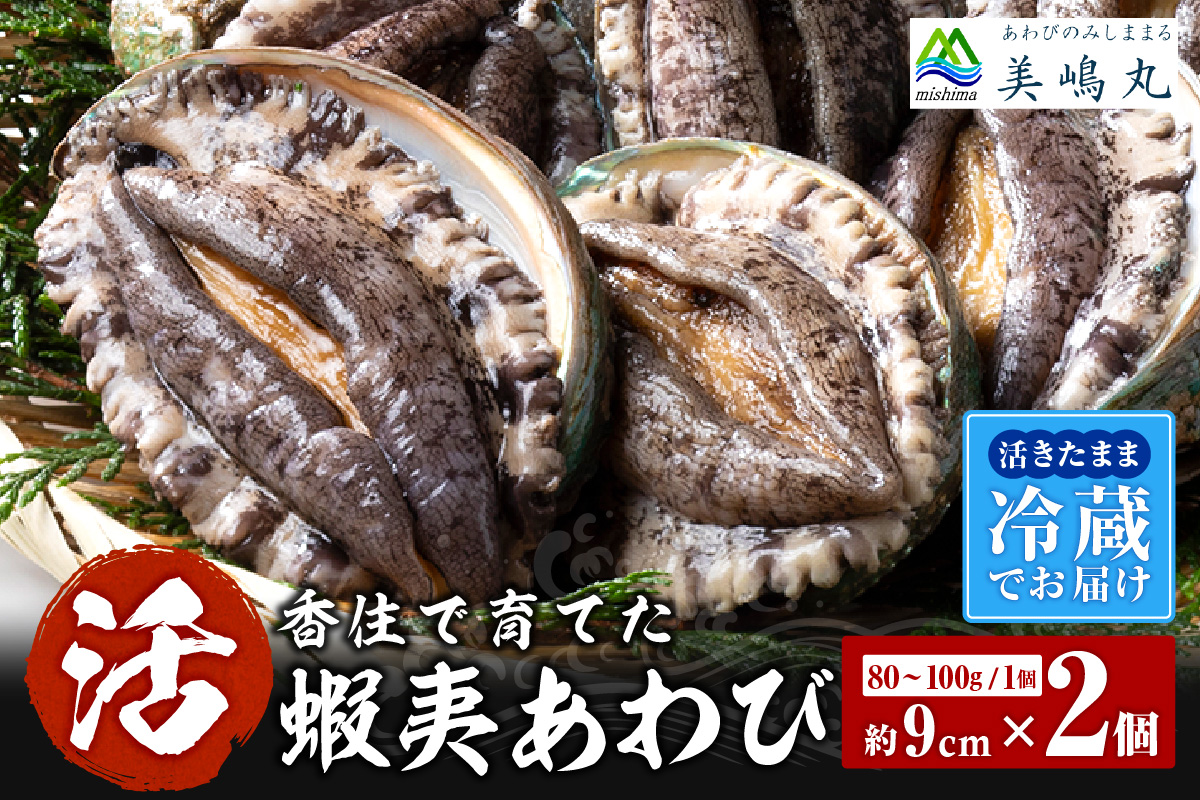 【冷蔵 活あわび 養殖 9cm×2枚 160～200g (1個80～100g）】 TVで紹介 満点青空レストラン 国産 アワビ 鮑 活アワビ あわび 海鮮 刺身 BBQ レシピ入り 人気 テレビ TV 紹介 話題 おすすめ ふるさと納税 返礼品 兵庫県 香美町 香住 山陰 美嶋丸 20-11