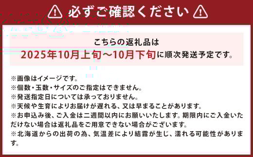 北海道産 じゃがいも 男爵 M～2Lサイズ混載 約10kg かぼちゃ ブラックのジョー 約5kg（2～5玉） セット 各1箱 合計約15kg 2箱 山田農場 ジャガイモ 芋 いも イモ 栗かぼちゃ 南