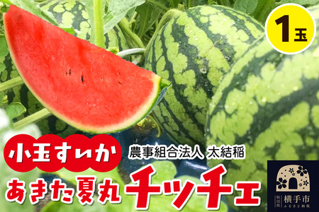 小玉すいか『あきた夏丸チッチェ』秋田県産 約2.1kg～2.7kg×1玉