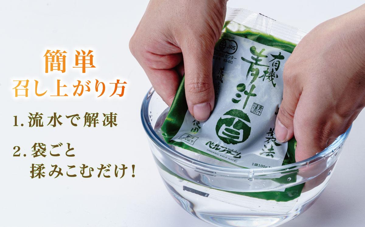 ベルファームつくばのにんじんジュース 100% 100g × 30袋 ＜離島・沖縄配送不可＞【 茨城県 つくば市 にんじん ニンジン 人参 ジュース 健康 無農薬 新鮮 オーガニック フレッシュジュー