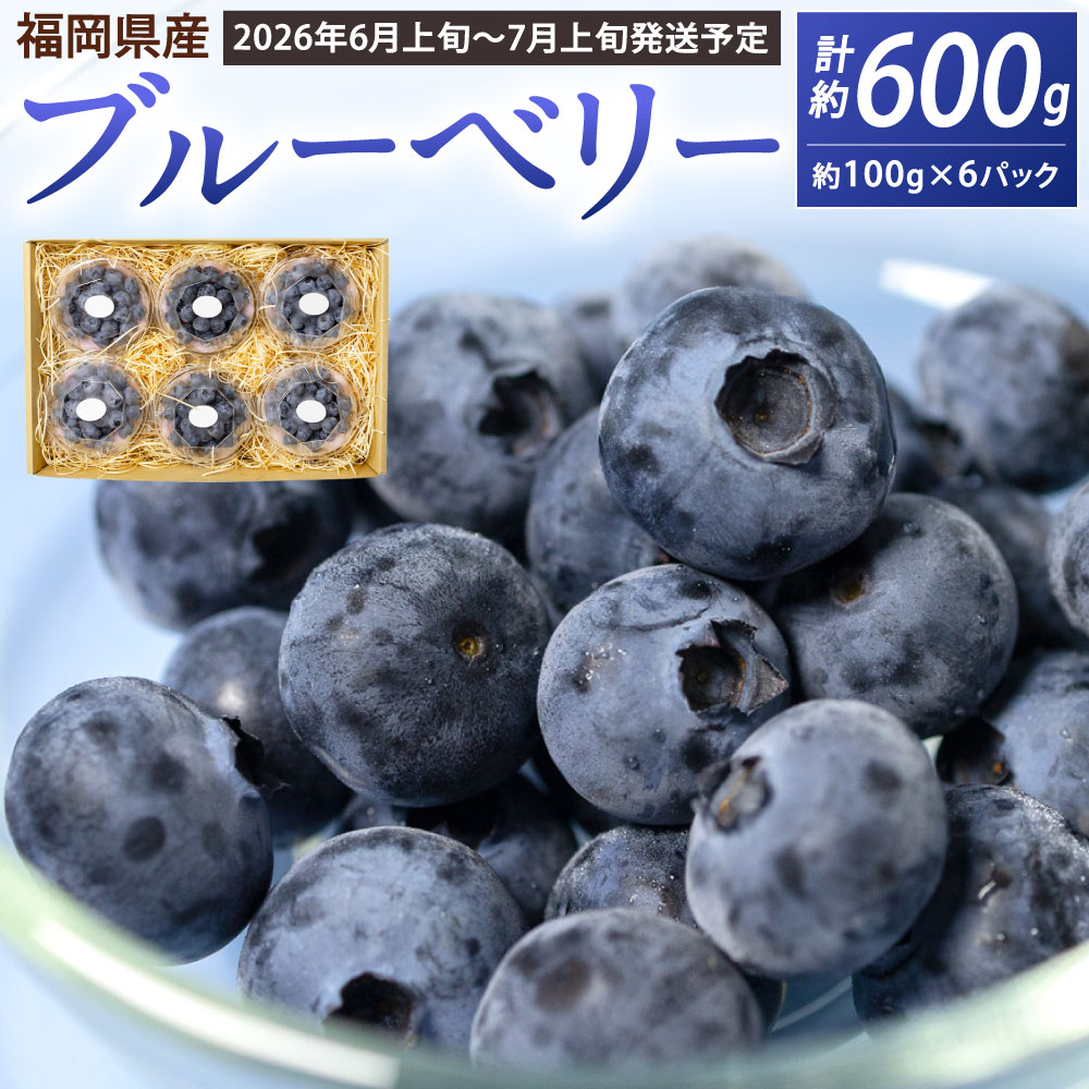 【ふるさと納税】冷蔵 国産 ブルーベリー 福岡県産 合計600g 100g×6パック フルーツ ベリー 小分け 果物 手摘み ジューシー 生 季節 旬 新鮮 福岡県北九州市 牧村農園 【2026年6月上旬-7月上旬発送予定】