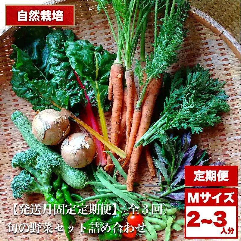 自然栽培 旬の野菜セット 詰め合わせ Lサイズ 3～4人分 くわのみ農園
