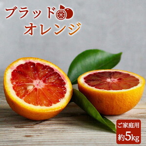 【先行予約】 家庭用 ブラッド オレンジ 5kg 紀州有田産 希少な柑橘フルーツ!