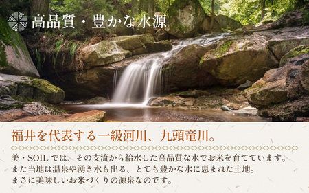 【令和5年産】《定期便》5kg×12回 60kg 特別栽培米 ハナエチゼン 無洗米 低農薬 《食味値85点以上！こだわり極上無洗米》 / 福井県 あわら 北陸 米 お米 人気 