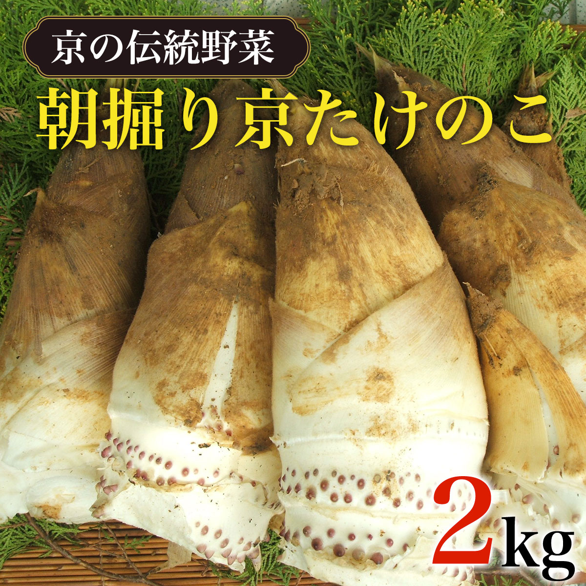 【ふるさと納税】 【2026年3月中旬から順次発送予定】【京の伝統野菜】朝掘り京たけのこ 2kg ふるさと納税 京都 竹の子 筍 たけのこ タケノコ 朝掘り 料亭 逸品 やわらかい 春 味覚 京都府 長岡京市 NGL001