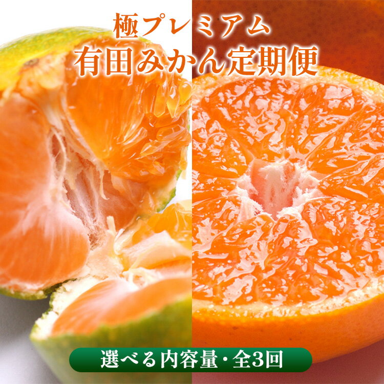 【ふるさと納税】〈定期便〉【10・11・12月 全3回】＼選べる内容量／極プレミアム 有田みかん定期便（傷み補償分） ※北海道・沖縄・離島への配送不可