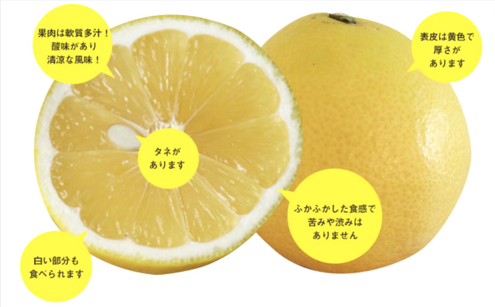 画像はイメージです。