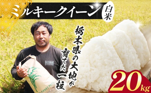 【先行予約】 米 お米 こめ  ミルキークイーン  20kg |新米 人気  送料無料 2026年産 栃木県産 栃木県 下野市