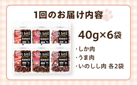 【全6回定期便】Softbits ドッグフード 肉アソート（40g×6P） / ドッグフード 犬 いぬ ドッグ おやつ ペットフード / 大村市 / サポート[ACAM032]
