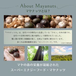マヤナッツお試しセット　320g　マヤナッツパウダーとマヤナッツコーヒー風と４種類のマヤナッツドリンクのお試しセット　古代マヤから伝わるスーパーエナジーフード ／ミネラル ドリンク 送料無料 山梨県 