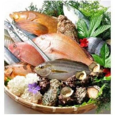 ふるさと納税 琴浦町 山陰日本海高級魚セット　4人前