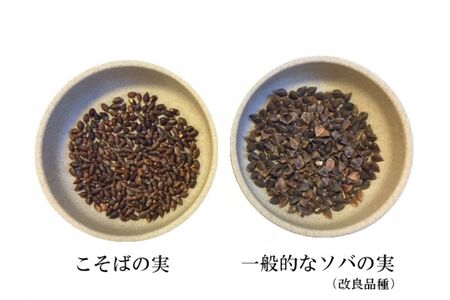 妙高こそば×4人前 妙高田舎蕎麦×2人前 計6人前セット 特製つゆ付き