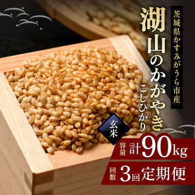 【ふるさと納税】【毎月定期便】コシヒカリ 玄米30kg 湖山のかがやき | 茨城県かすみがうら市全3回【4094397】