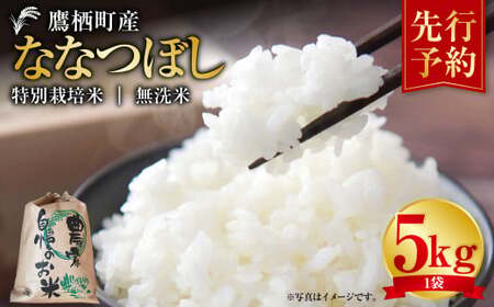 【令和7年産】 ななつぼし （無洗米） 5kg  米 白米 ごはん お米 5キロ 無洗米 北海道 鷹栖町 【2025年9月下旬より発送開始】