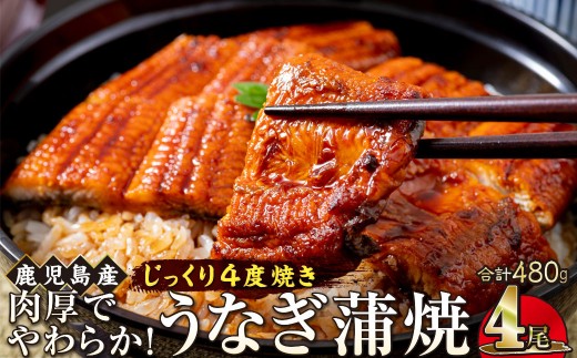 うなぎ 蒲焼 120g×4尾【鹿児島産】地下水で育てた絶品鰻