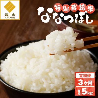 ふるさと納税 滝川市 《令和7年産》特別栽培米ななつぼし 5kg×3ヵ月定期便 特A 減農薬 白米 北海道滝川市