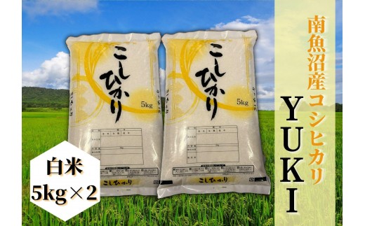 
                  【令和8年産 新米予約】南魚沼産コシヒカリ「YUKI」白米10kg 新潟県の特A地区南魚沼市の美味しいお米【銘柄米 ブランド米 精米 こしひかり コシヒカリ 魚沼産 新潟米 産地直送 お米 米】【2026年10月上旬より1ヶ月以内に順次発送予定】
                