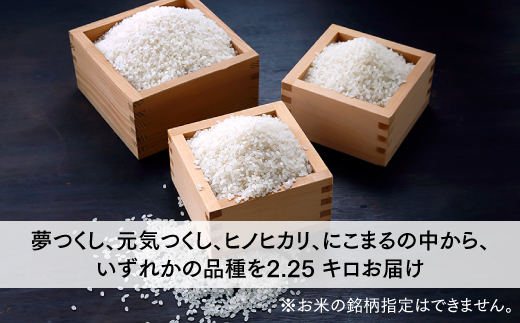ZI294.立花山で育てた九州のブランド米・2.25キロ【一升五合（いっしょうはんじょう）】
