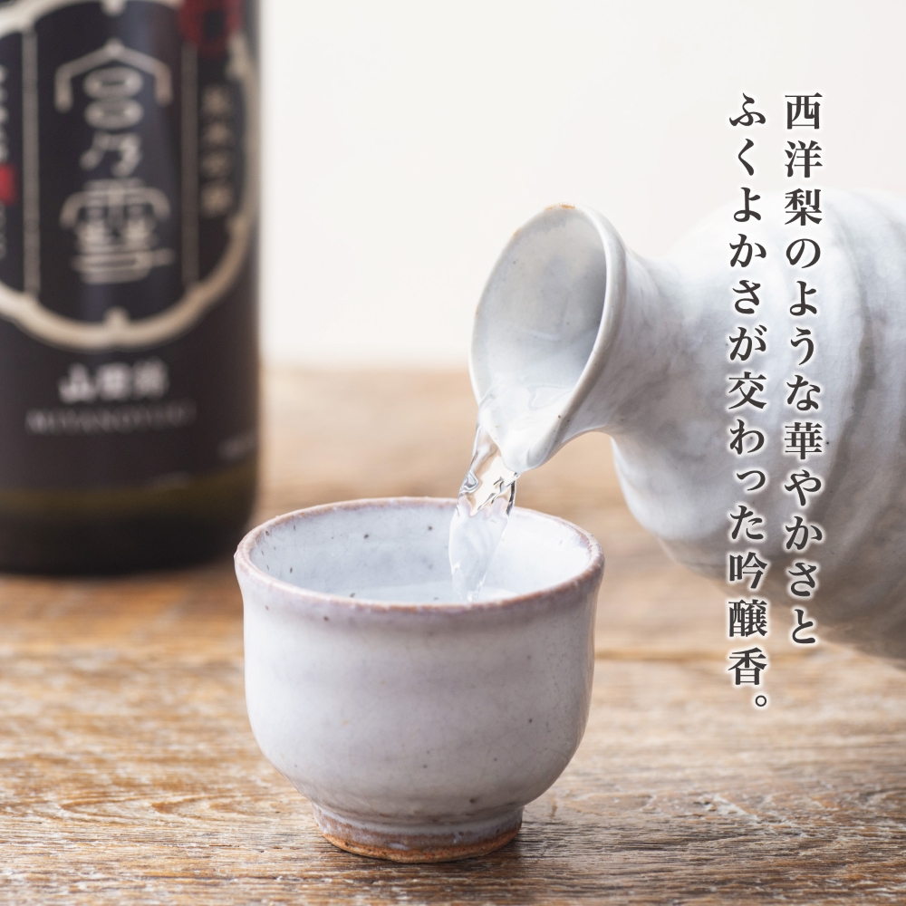 イオンセレクト 地酒飲み比べセット（3本セット）イオンリテール│純米酒 日本酒 お酒 酒 地酒 さけ 宮﨑本店 伊藤酒造 丸彦酒造 セット 詰め合わせ 詰合せ アソート ギフト 贈答用 自分用 家族用