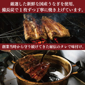 国産うなぎ 炭火焼 250g 1尾 タレ付  【 うなぎ 】