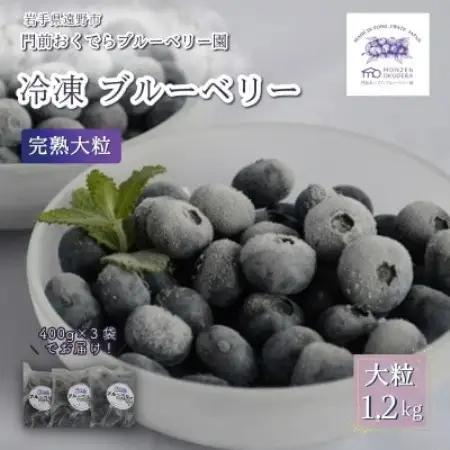 冷凍ブルーベリー 大粒 1.2kg (400gパック3個入り) 門前おくでらブルーベリー園【配送不可地域：離島】【1738487】