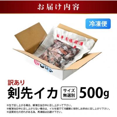 ふるさと納税 越前町 【急速冷凍】【訳あり】生いか 天然ケンサキイカ サイズ無選別 500g |  | 03