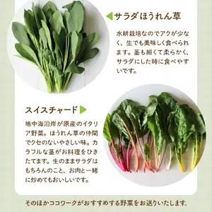 ココワークの水耕栽培野菜 約1kg ゆず人参ドレッシング2本 セット