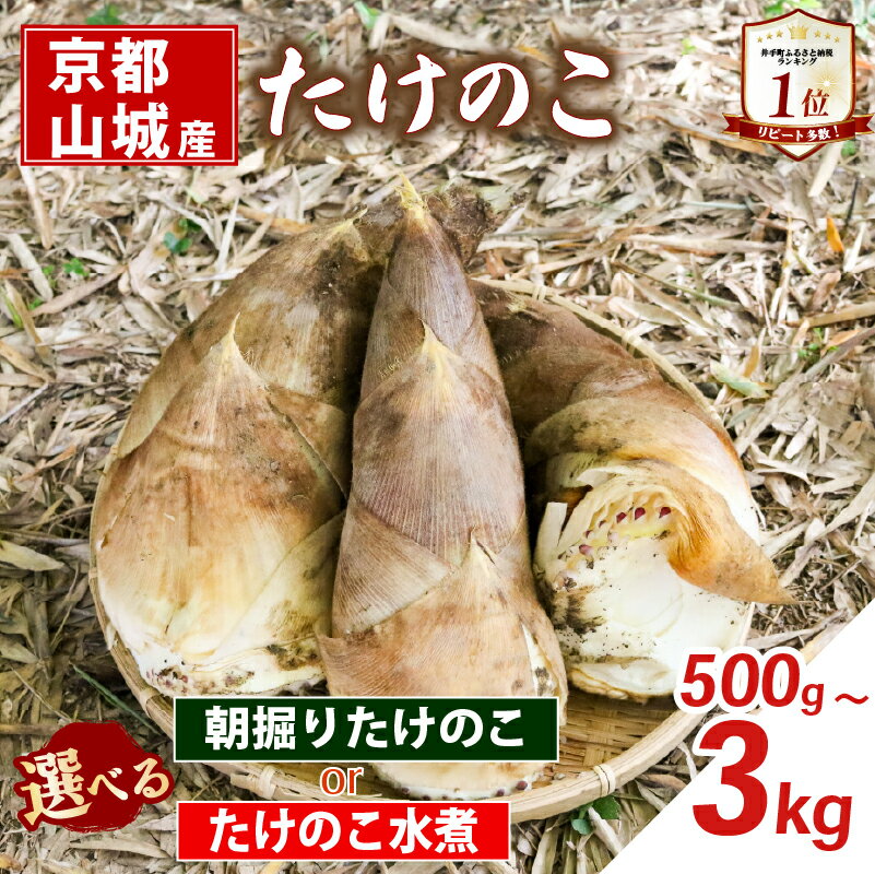 【ふるさと納税】 【京都山城産】 ＜先行予約＞ 朝掘りたけのこ (26年4月発送) / たけのこ水煮 選べる 缶詰 筍 竹の子 白子筍 京都 山城 産 京たけのこ たけのこ 国産 京野菜 野菜 国産 炊き込みご飯 煮物 小分け まとめ買い 常温保存 井手町 送料無料 まるやま食品