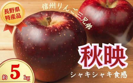 【2026年先行予約】秋映 約5kg｜ りんご