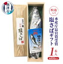 【ふるさと納税】 塩さば 鯖 贈答用 冷凍 焼津 約800g以上 1本入 塩 さばギフト 桐箱入 a17-043